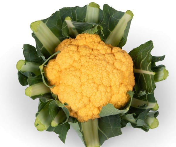 Karfiol Lisboa F1 B-S