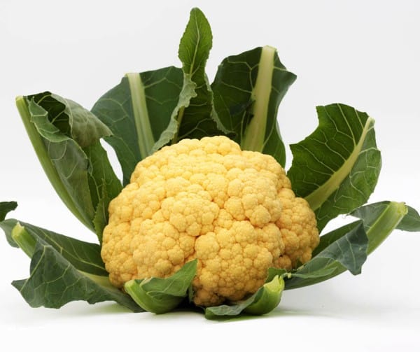 Karfiol Lisboa F1 B-S - Image 2