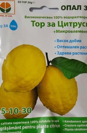 Műtrágya ciprusoknak 20 gr Opal Bg