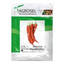 Paprika Dracula Ag Profi