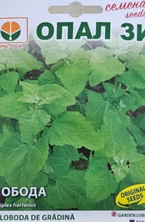 Laboda green Opal Bg