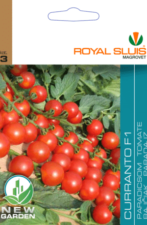 Paradicsom Curranto F1 Royal 3