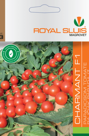 Paradicsom Charmant F1 Royal 3