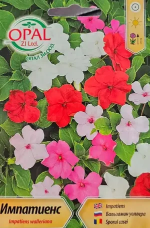 Vinca-Rózsás meténg Opal Bg