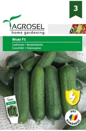 Uborka Bicaz F1 Ag 3