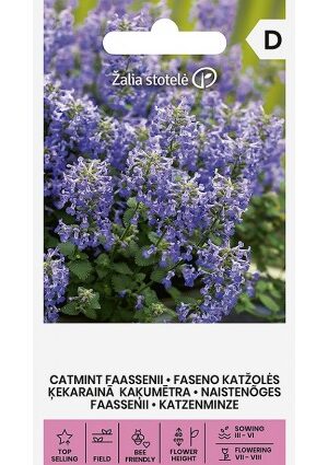 Kerti macskamenta Catmint Faassenii Z.S SL