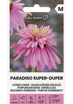 Kasvirág PARADISO SUPER-DUPER Z.S SL