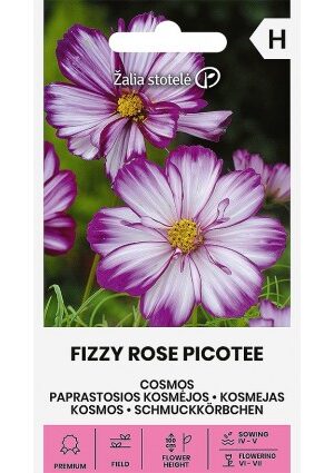 Pillangóvirág FIZZY ROSE PICOTEE Z.S SL