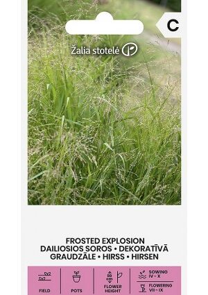 Díszköles FROSTED EXPLOSION Z.S SL