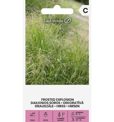 Díszköles FROSTED EXPLOSION Z.S SL