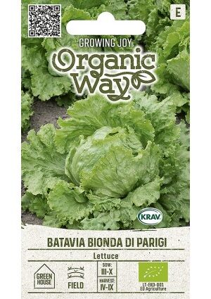 Saláta BATAVIA BIONDA DI PARIGI OW SL