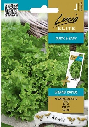 Saláta GRAND RAPIDS magszalagos ELN SL
