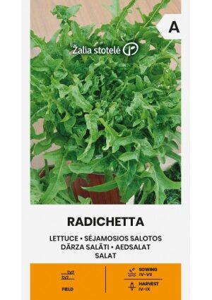 Saláta RADICHETTA Z.S SL