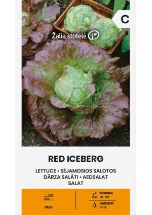 Saláta RED ICEBERG Z.S SL