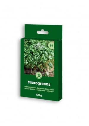 Fehér mustár csíráztatásra 100 gr AGR SL