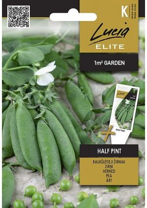 Borsó HALF PINT ELN SL