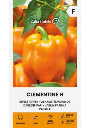 Paprika CLEMENTINE Hibrid Z.S SL