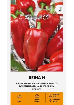 Paprika REINA Hibrid Z.S SL