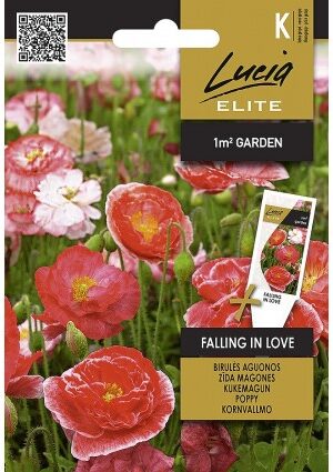 Díszpipacs FALLING IN LOVE ELN SL