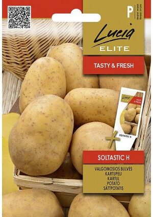 Burgonya SOLTASTIC Hibrid ELN SL