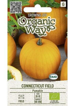 Sütőtök CONNECTICUT FIELD OW SL