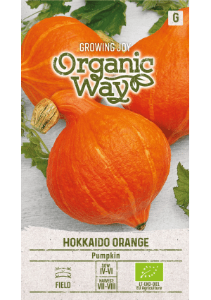 Sütőtök Hokkaido Orange OW SL
