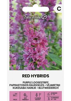 Réti fűzény RED HYBRIDS Z.S SL