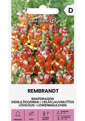 Tátika REMBRANDT Z.S SL