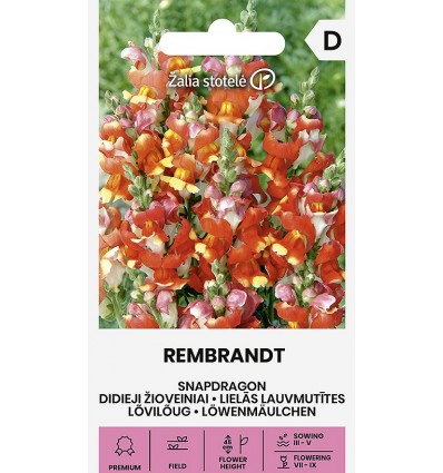 Tátika REMBRANDT Z.S SL