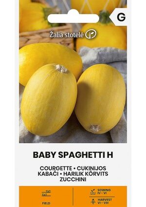 Cukkini Baby Spaghetti Hibrid Z.S SL