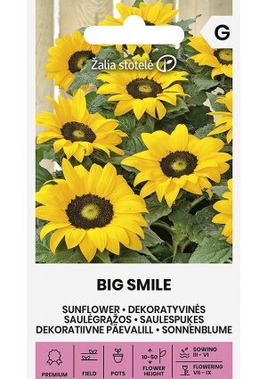 Dísznapraforgó BIG SMILE Z.S SL