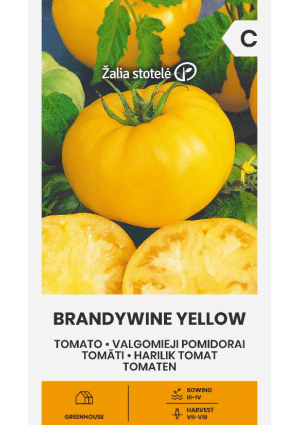Paradicsom Brandywine Yellow Z.S SL