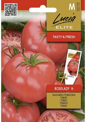 Paradicsom ROSELADY Hibrid ELN SL