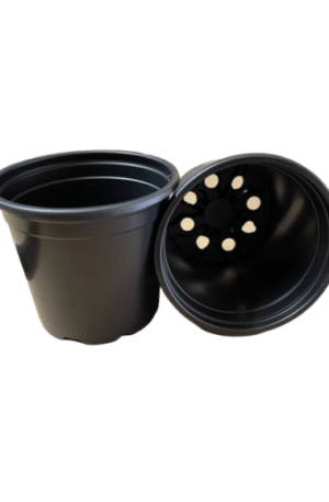 Ültető cserép 10,5 cm