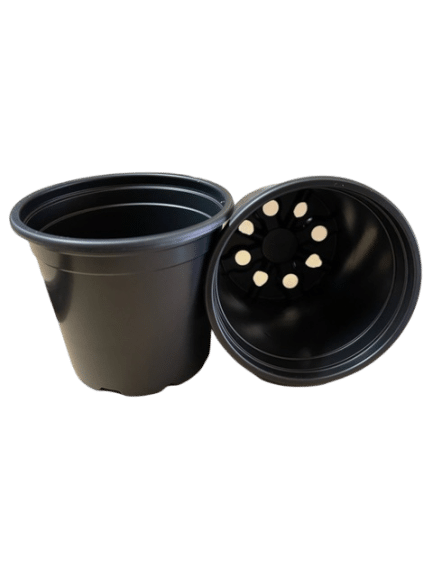 Ültető cserép 10,5 cm