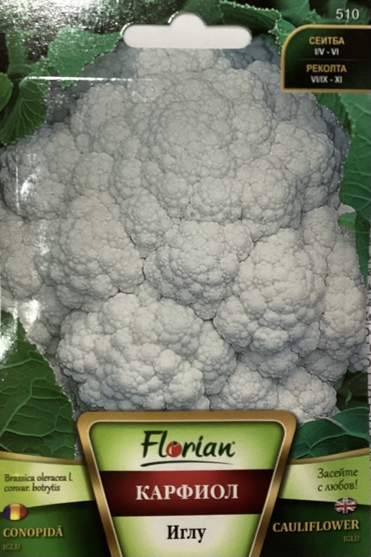 .Karfiol Iglu Florian Bg 2025-év lejáratú /2db