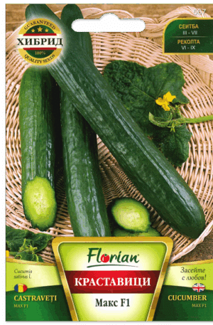 .Uborka Max F1 Florian Bg 2025-év lejáratú /2db