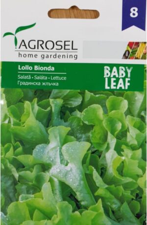 .Saláta Lollo bionda Baby saláta Ag8 2025-év lejáratú