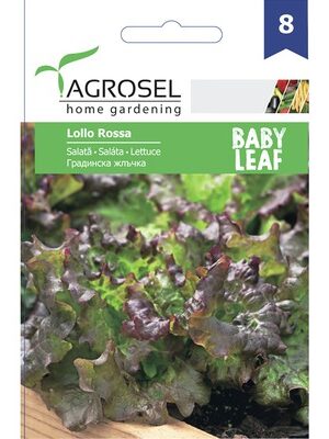 .Saláta Lollo Rossa Baby levél 2025-év lejáratú