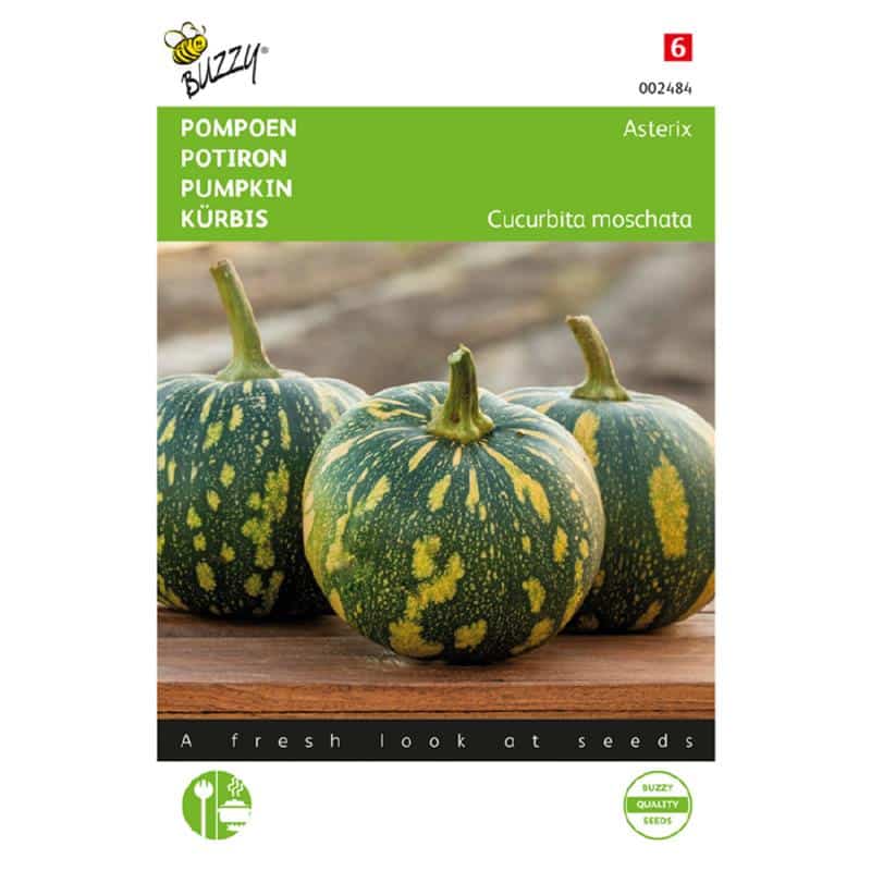 .Sütőtök Asterix Bz H 2025-év lejáratú