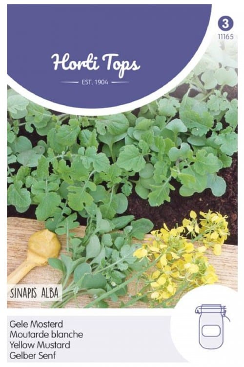 .Fehér mustár H HT 2025-év lejáratú