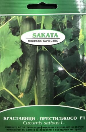 Uborka Prestigioso F1 Sakata