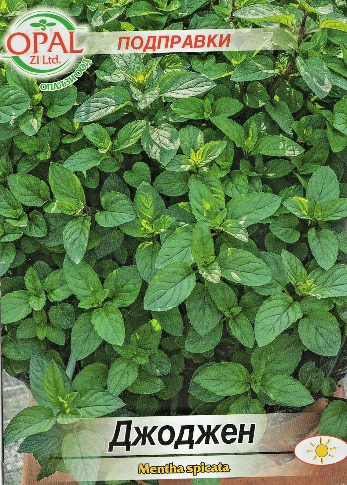 .Menta-Borsmenta Mentha Spicata Opal Bg 2025-év lejáratú