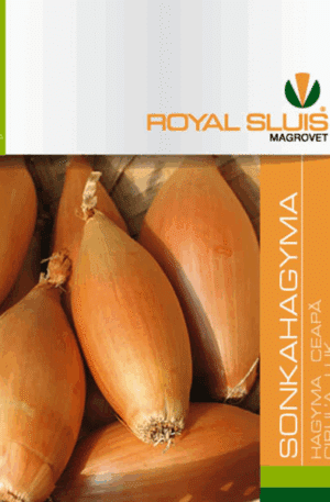 .Hagyma Sonkahagyma Royal 1 2025-év lejáratú