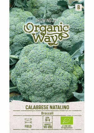 .Brokkoli Calabrese Natalino SL OW 2025-év lejáratu
