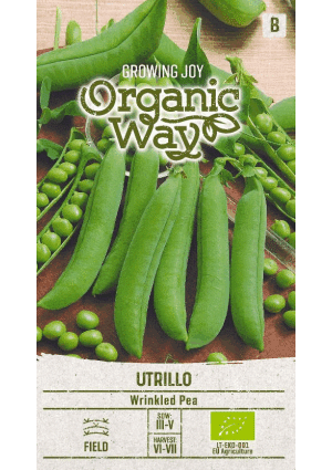 .Borsó Utrillo SL OW 2025-év lejáratu