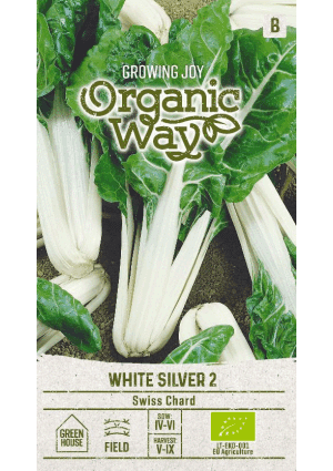 .Mángold White Silver 2 SL OW 2025-év lejáratu