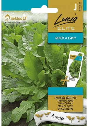 .Paréjlórom Dock magszalagos SL ELN 2025-év lejáratú