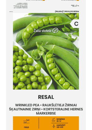 .Borsó Resal Z.S SL 2025-év lejáratú