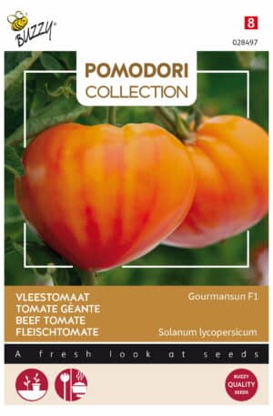 Paradicsom Gourmansun F1 Pomodori Collection Bz H